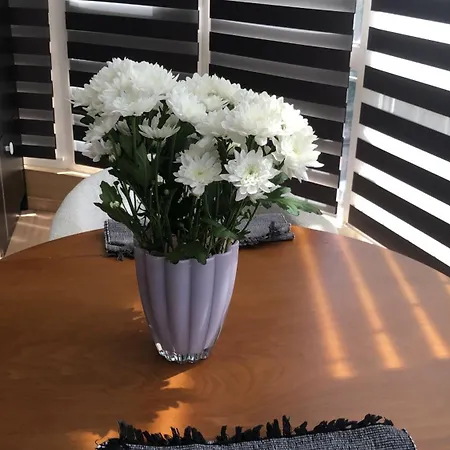Deluxe In Center تيرانا