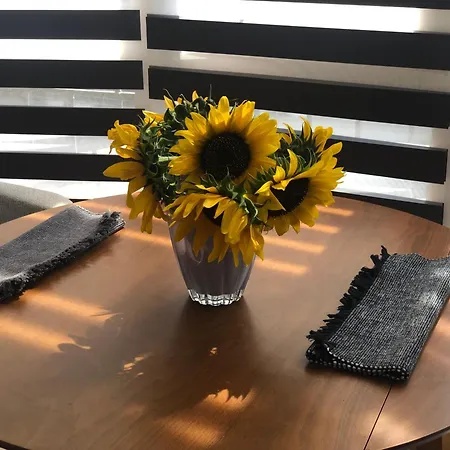 Deluxe In Center Apartament *